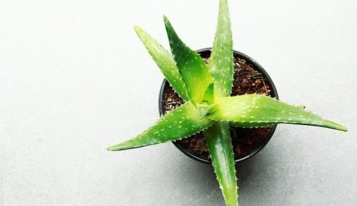 新築工事や引っ越しの近隣への挨拶回り【完全版】例文や近所へのおすすめ手土産